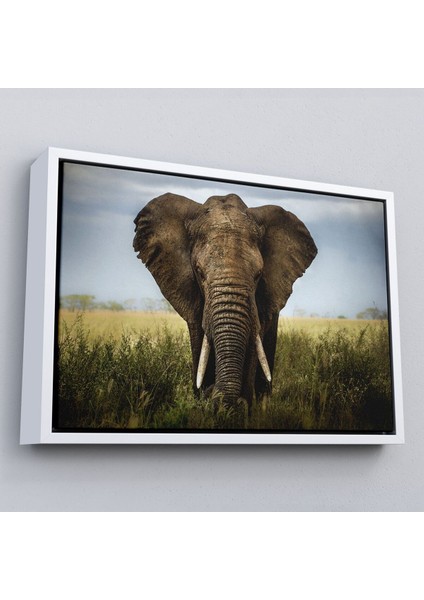 Çerçeveli Fil Dekoratif Kanvas TABLO-1121 fırsatları