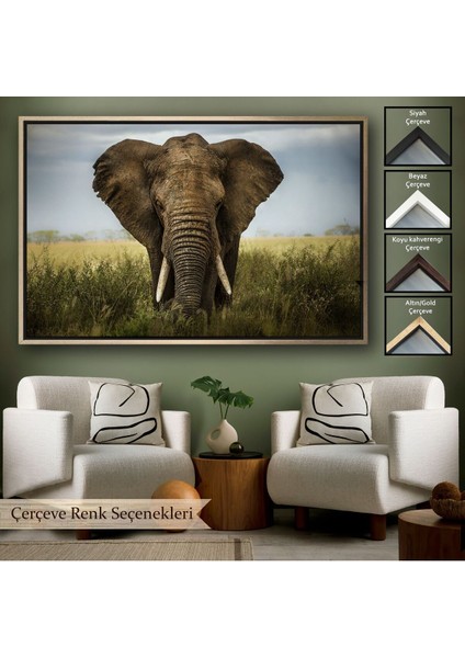 Çerçeveli Fil Dekoratif Kanvas TABLO-1121