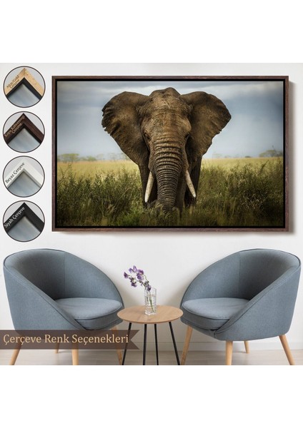 Çerçeveli Fil Dekoratif Kanvas TABLO-1121