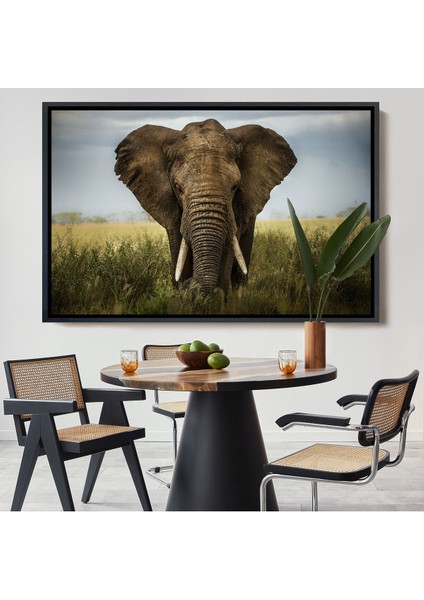 Çerçeveli Fil Dekoratif Kanvas TABLO-1121