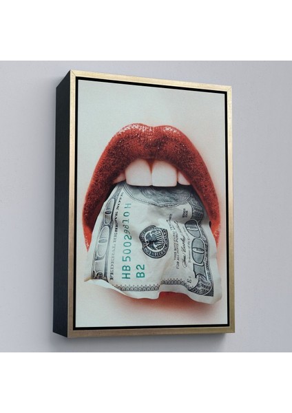 Çerçeveli Ağzın Da Dolar Olan Kadın Duvar TABLOSU-6260 modelleri