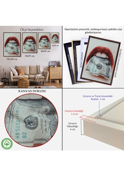 Çerçeveli Ağzın Da Dolar Olan Kadın Duvar TABLOSU-6260 indirimleri