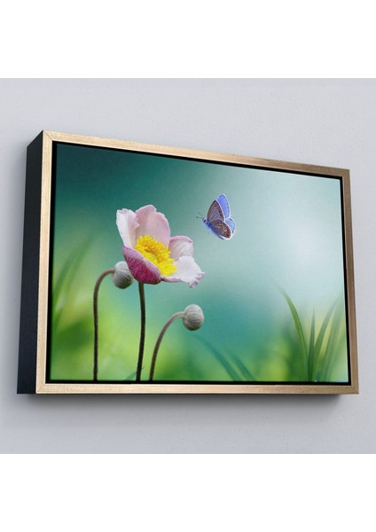 Beyaz Çerçeveli Zarif Çiçek ve Kelebek Dekoratif Kanvas Duvar Tablosu
