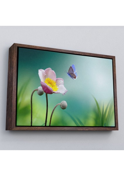Beyaz Çerçeveli Zarif Çiçek ve Kelebek Dekoratif Kanvas Duvar Tablosu fiyatları
