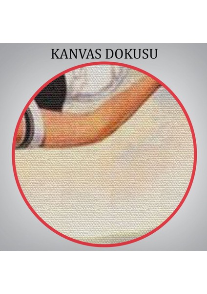 Papatya Tarkası Üzerındeki Mutlu Kadın Duvar TABLOSU-6274