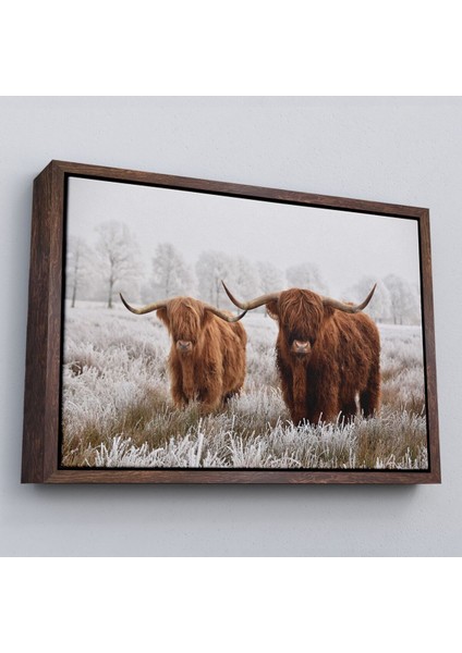 Çerçeveli Iskoçya Sığırları Dekoratif Kanvas TABLO-1150 fiyatları