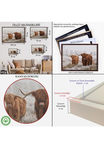 Çerçeveli Iskoçya Sığırları Dekoratif Kanvas TABLO-1150 indirimleri