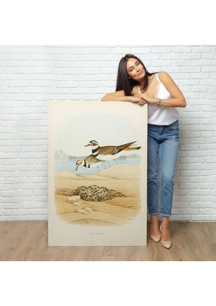 Edwin L. Sheppard - Öldürücü Tablo - KILLDEER-7338 fiyatları