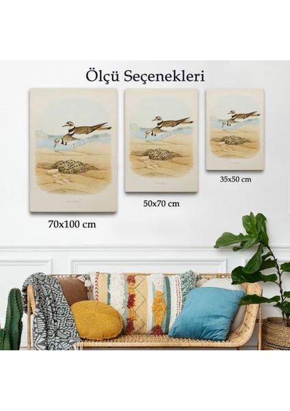 Edwin L. Sheppard - Öldürücü Tablo - KILLDEER-7338 modelleri