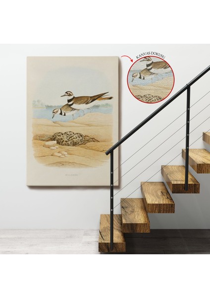 Edwin L. Sheppard - Öldürücü Tablo - KILLDEER-7338 fırsatları