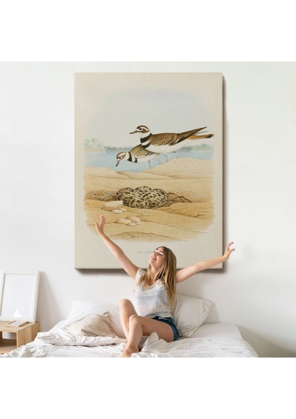 Edwin L. Sheppard - Öldürücü Tablo - KILLDEER-7338 indirimleri