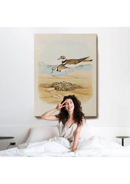 Edwin L. Sheppard - Öldürücü Tablo - KILLDEER-7338