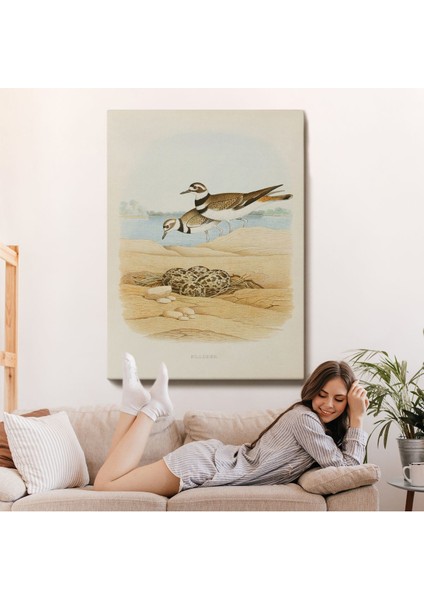 Edwin L. Sheppard - Öldürücü Tablo - KILLDEER-7338