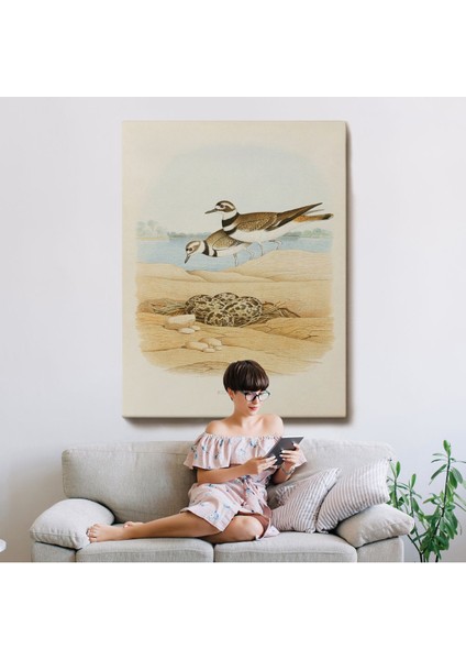 Edwin L. Sheppard - Öldürücü Tablo - KILLDEER-7338