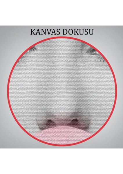 Marilyn Monroe Pembe Kabarcık Sakızlı Dekoratif Kanvas TABLO-5108-3 indirimleri