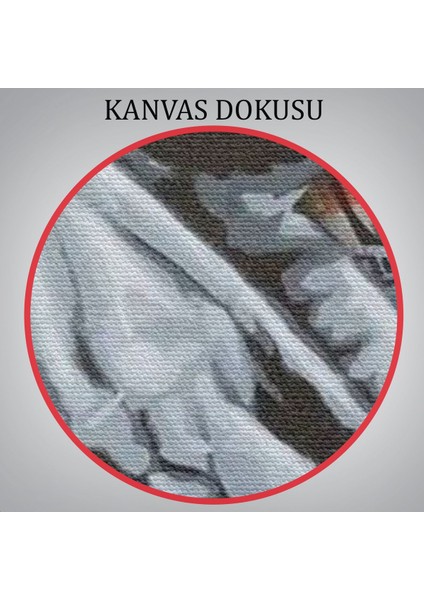 Bansky Tarzı Sokak Sanatı Dekoratif Duvar Tablosu -6168