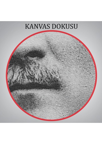 Atatürk Portre Tablosu Mustafa Kemal Atatürk Dikdörtgen Dekoratif Kanvas Tablo-Cj-60