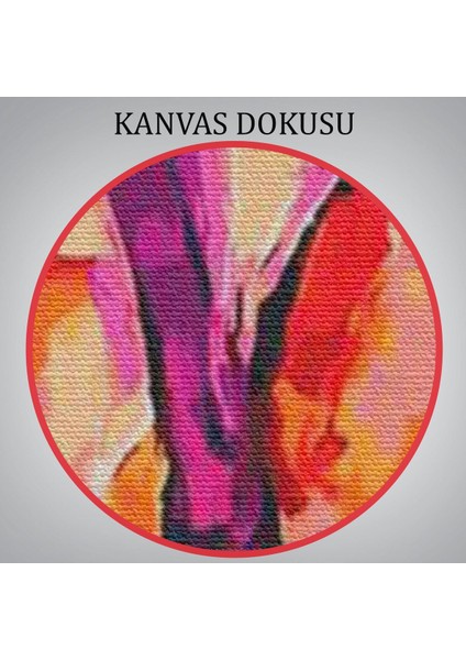 Renkli Yağlıboya Kadın Poposu TABLO-5871