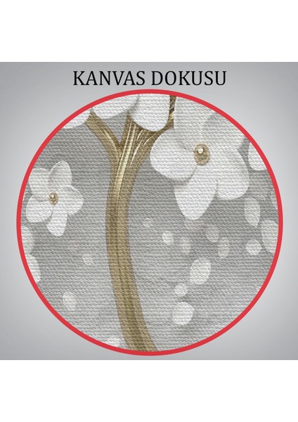 Beyaz Gelincik Ağacı Dekoratif Kanvas Duvar TABLOSU-3645