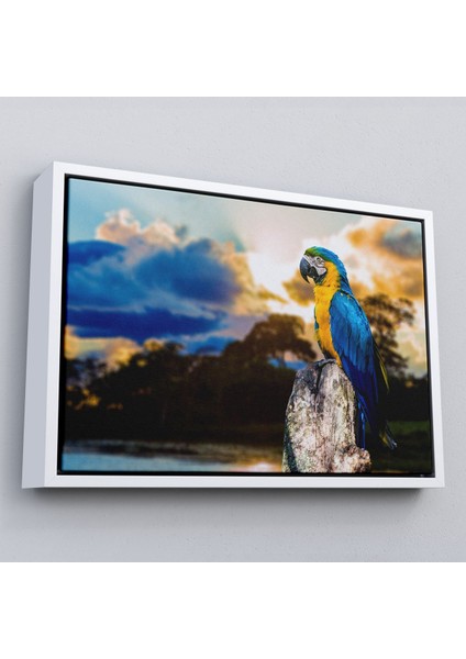 Çerçeveli Papağan Dekoratif Kanvas TABLO-1123