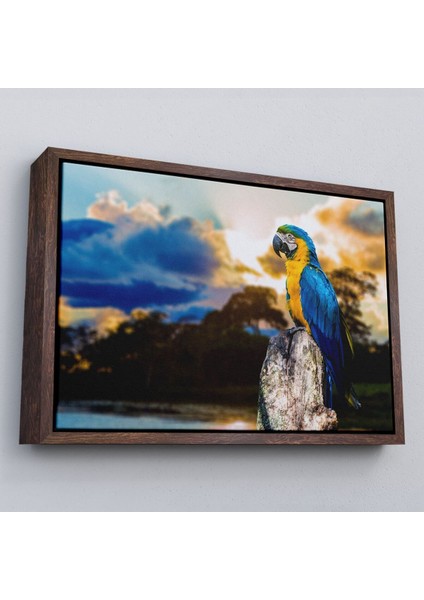 Çerçeveli Papağan Dekoratif Kanvas TABLO-1123 fiyatları