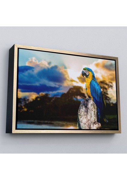Çerçeveli Papağan Dekoratif Kanvas TABLO-1123 modelleri