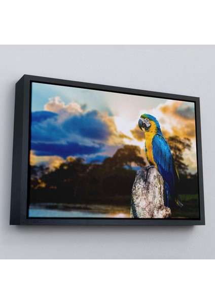 Çerçeveli Papağan Dekoratif Kanvas TABLO-1123 fırsatları