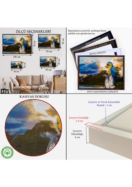 Çerçeveli Papağan Dekoratif Kanvas TABLO-1123 indirimleri