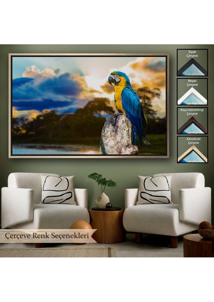 Çerçeveli Papağan Dekoratif Kanvas TABLO-1123