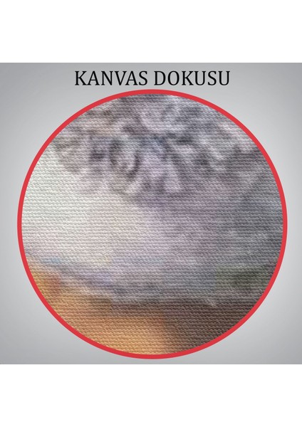 Melon Şapkalı Adam René Magritte Duvar TABLOSU-6099