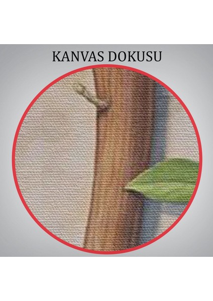 Çiçek Açan Batla Gerçeküstü Sanat Kanvas TABLO-5860