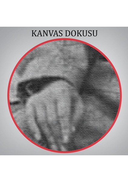 Atatürk Portre Tablosu Mustafa Kemal Atatürk Dikdörtgen Dekoratif Kanvas TABLO-FT-144