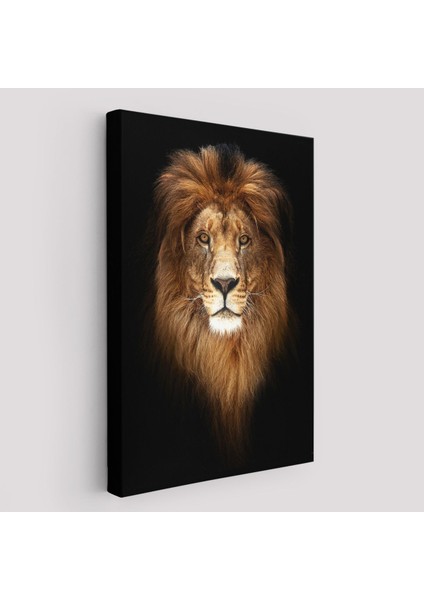 Aslan Dekoratif Kanvas TABLO-5966