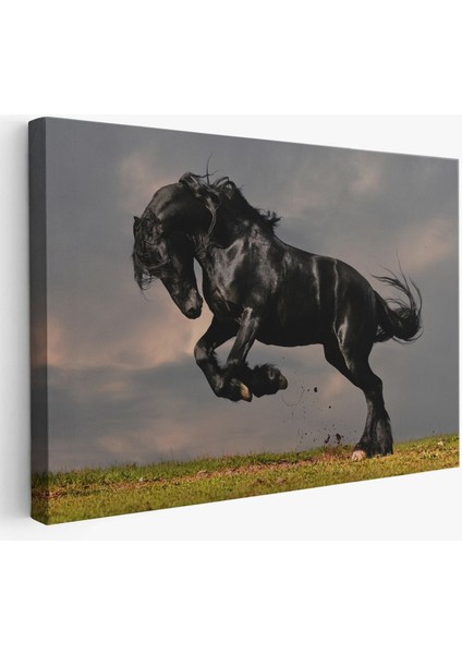 Şaha Kalkmış Siyah At TABLOSU-6620