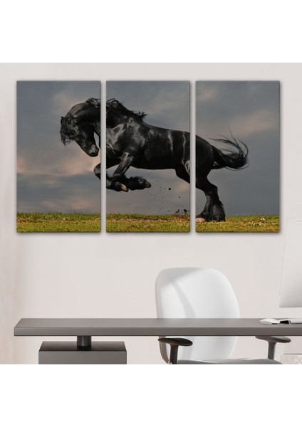 Şaha Kalkmış Siyah At TABLOSU-6620 modelleri