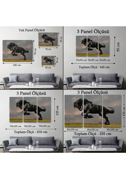 Şaha Kalkmış Siyah At TABLOSU-6620