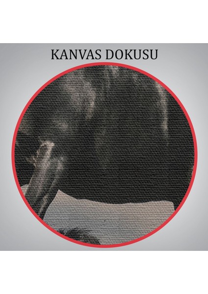 Şaha Kalkmış Siyah At TABLOSU-6620