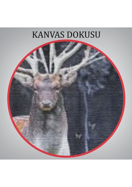 Ormandaki Geyik TABLOSU-6566