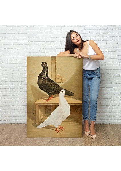 Çerçeveli Gustav Prütz - Sevimli Italyan Güvercinleri TABLO-7320 fiyatları