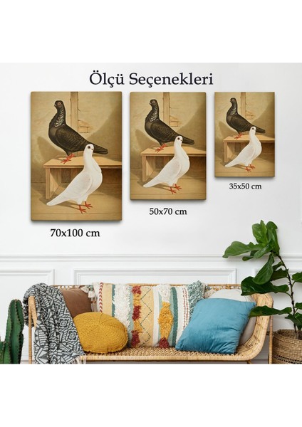 Çerçeveli Gustav Prütz - Sevimli Italyan Güvercinleri TABLO-7320 modelleri