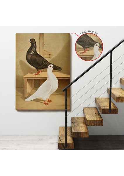 Çerçeveli Gustav Prütz - Sevimli Italyan Güvercinleri TABLO-7320 fırsatları
