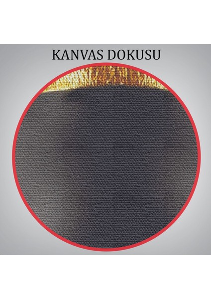 Afrikalı Zenci Kadın Yaylera Dekoratif Kanvas TABLO-4975