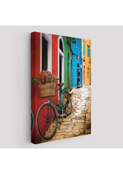 Sokaktaki Çiçekli Bisiklet Duvar TABLOSU-6453