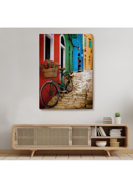 Sokaktaki Çiçekli Bisiklet Duvar TABLOSU-6453