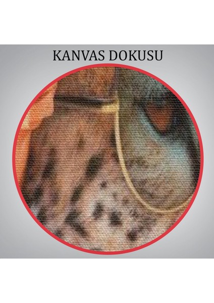 Kokoş Çıta, Çiçek Taçlı Sosyetik Çita TABLOSU-6322