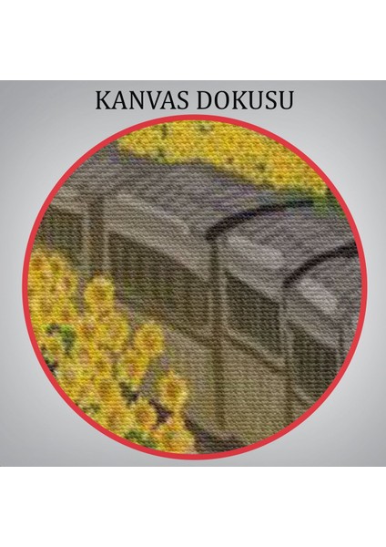 Vincent Van Gogh'un Renkli Tasviri Duvar TABLOSU-6224