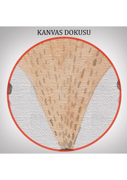 3’lü Tablo Sevimli Hayvanlar Suluboya Görünümlü Dekoratif Tablo Seti-Bü-47 indirimleri