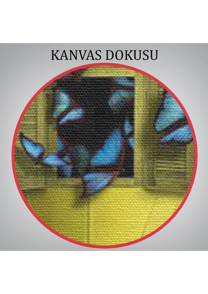 Ruhların Uçmasına Izin Ver, Gerçeküstü Sanat Kanvas TABLO-5853