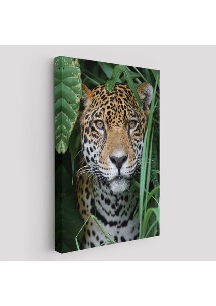Leopar Dekoratif Kanvas TABLO-5960