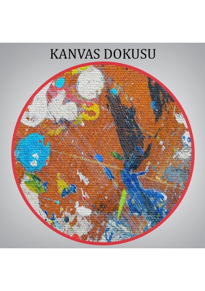 Soyut Yağlıboya Görünüm Dekoratif Kanvas Duvar TABLOSU-3477